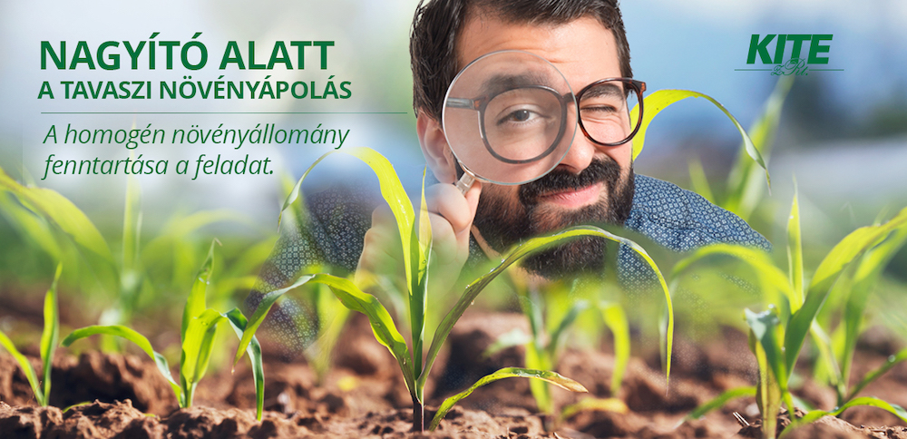 Nagyító alatt a tavaszi tápanyag-utánpótlás