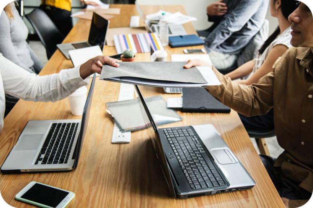 Nyitrai Ibolya a Credit Management Szövetség vezetésében