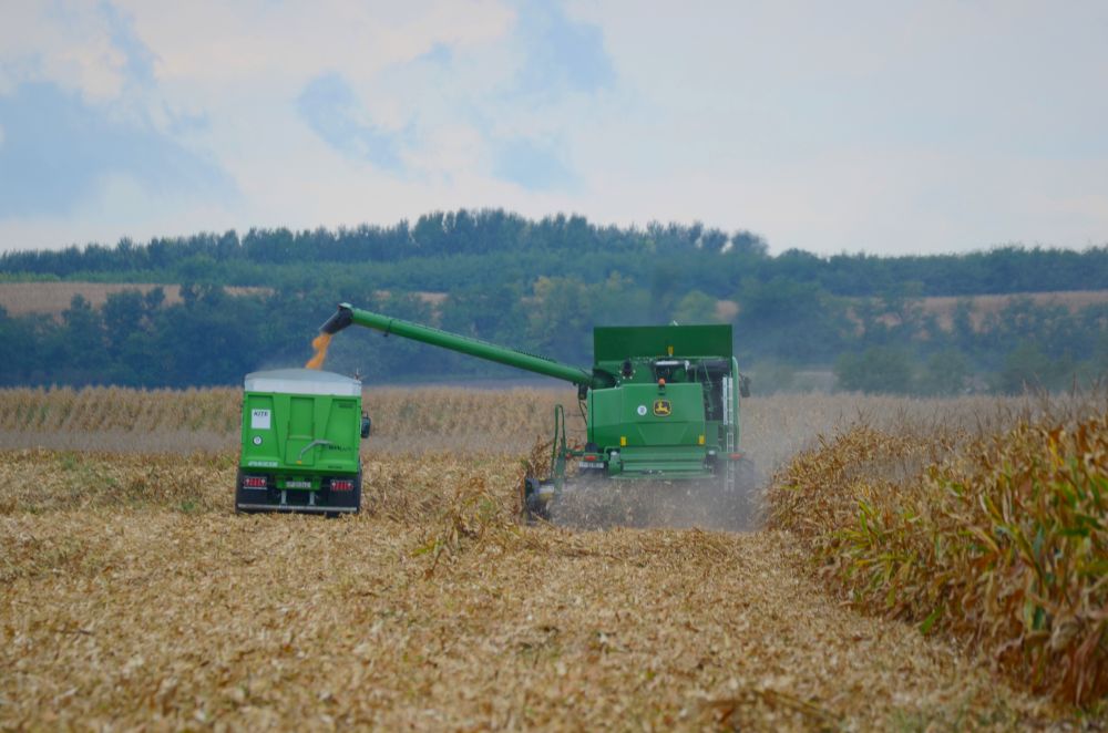 Agrár Innovációs Díjat kapott a KITE