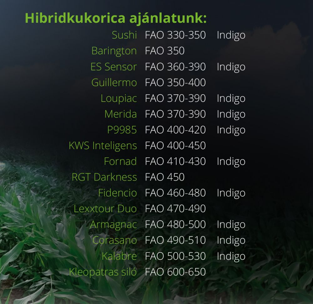 kukorica