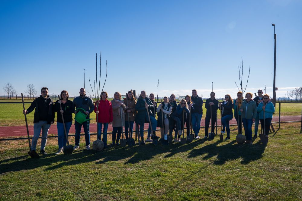 Kollégáink önkéntes faültetési akciót szerveztek Nádudvaron