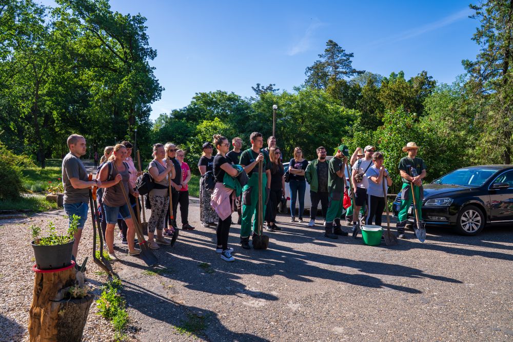 Önkéntes összefogással szépült meg a püspökladányi arborétum