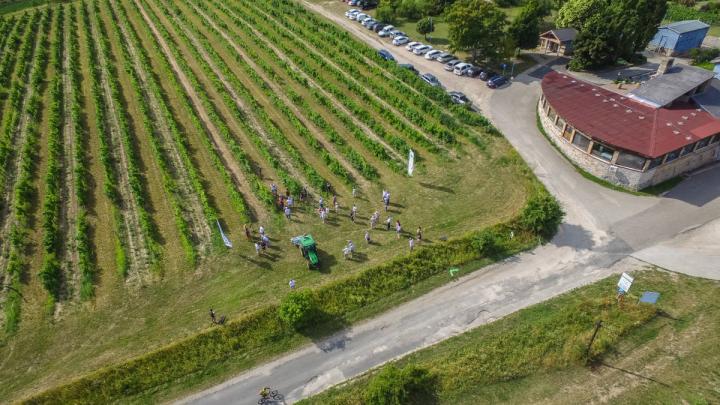 A képen a neszmélyi Hilltop birtokon rendezett szőlészeti bemutatónk látható madártávlatból