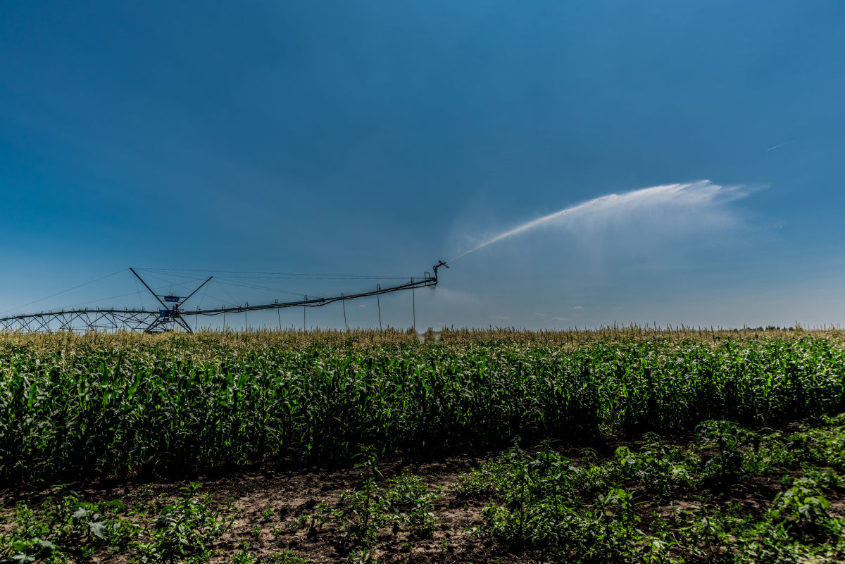 A vízgazdálkodási pályázaton is pályázható Valley lineár öntöző kukorica öntözése közben. 