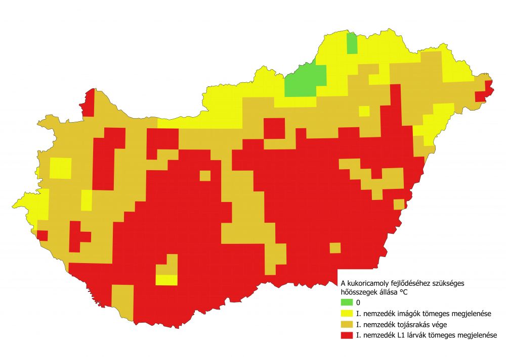 kukoricamoly hőösszeg