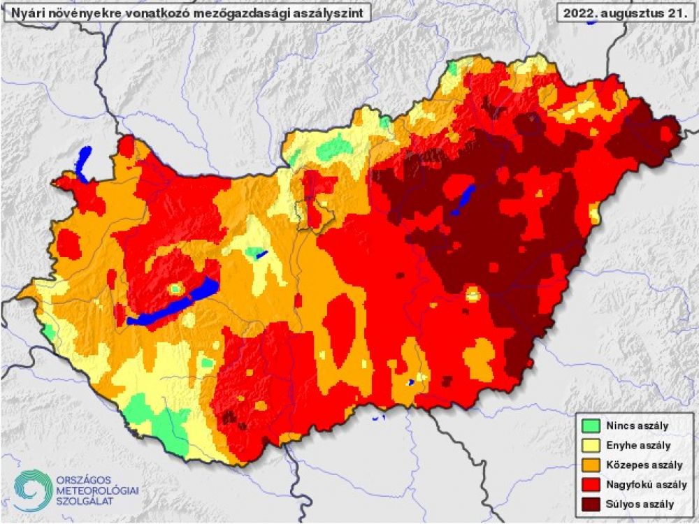 Nyári növényekre vonatkozó mezőgazdasági aszlyszint