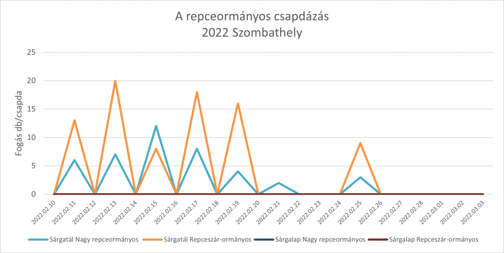 A repceormányos – Szombathely