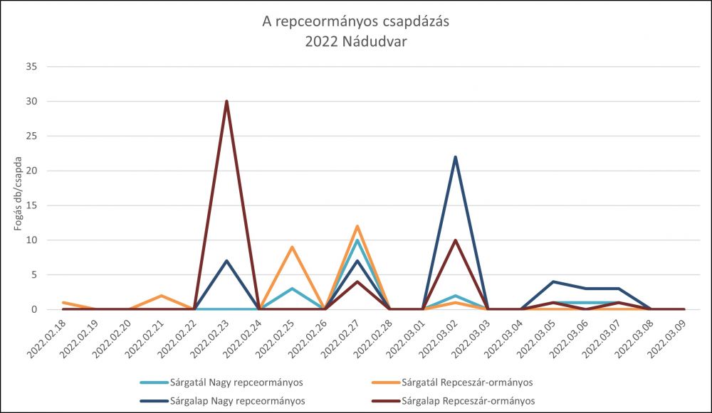 repceormányos