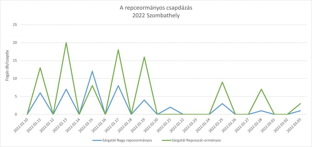 A repceormányos – Szombathely