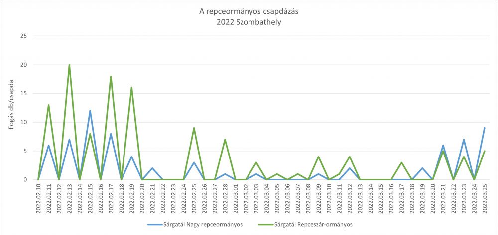 A repceormányos – Szombathely