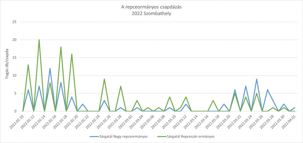 A repceormányos – Szombathely