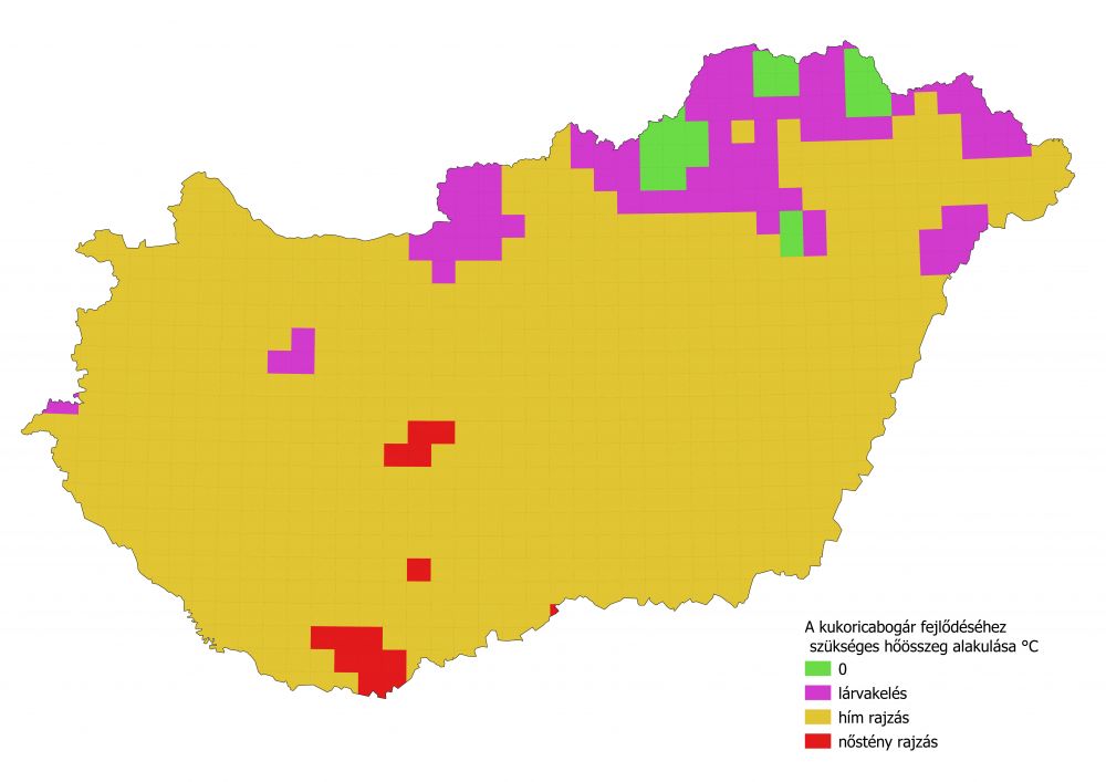 A kukoricabogár fejlődéséhez szükséges hőösszegek állása 2022.06.03.
