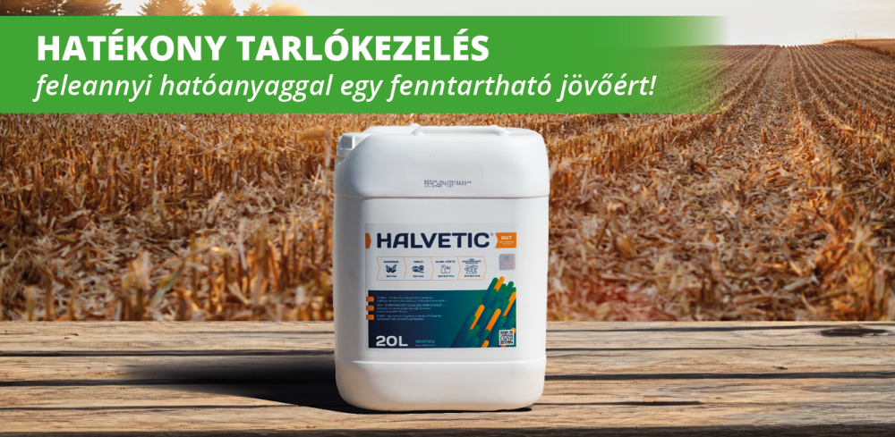 halvetic kreatív