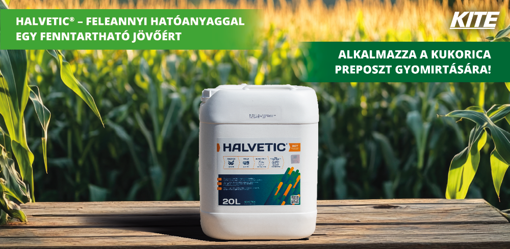 Halvetic banner