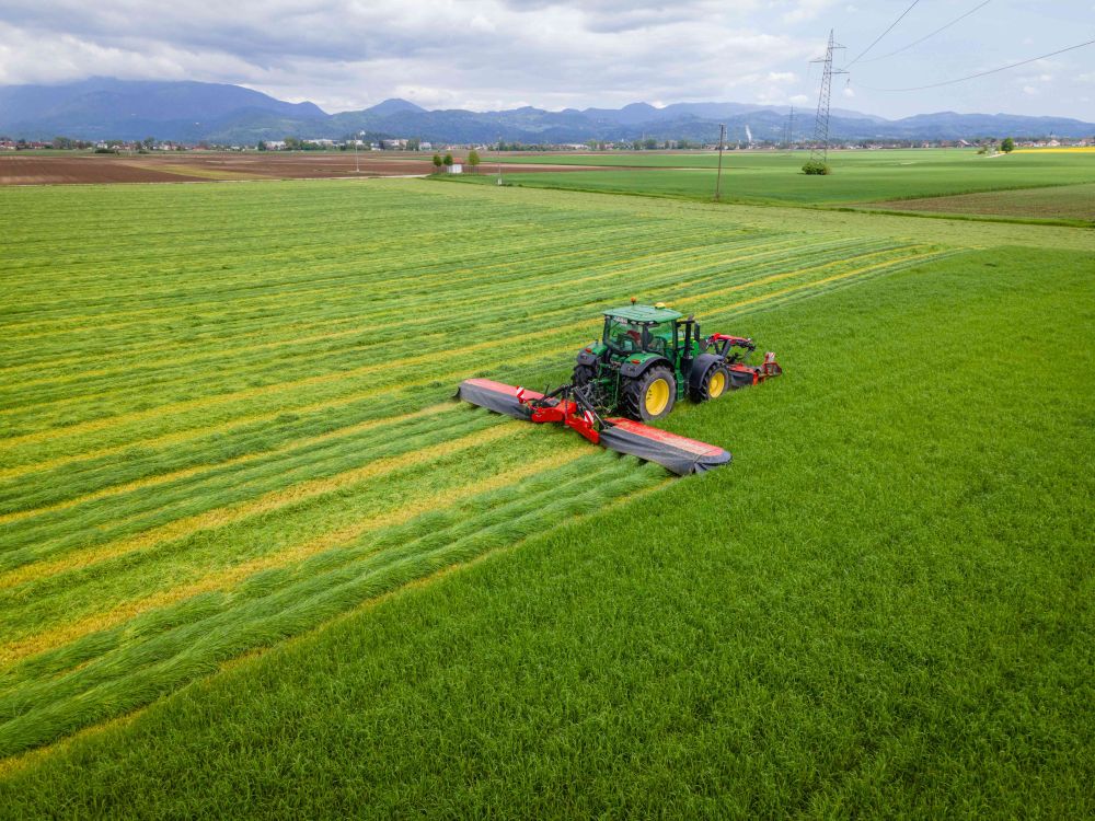 Újdonság Szlovéniából. Egyszerűen a legjobb…