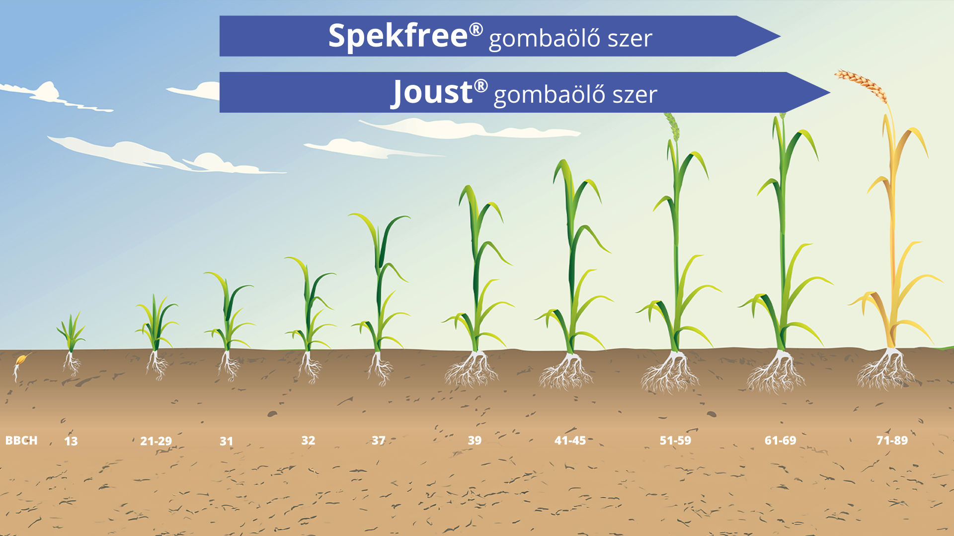 Technológiába illesztés
